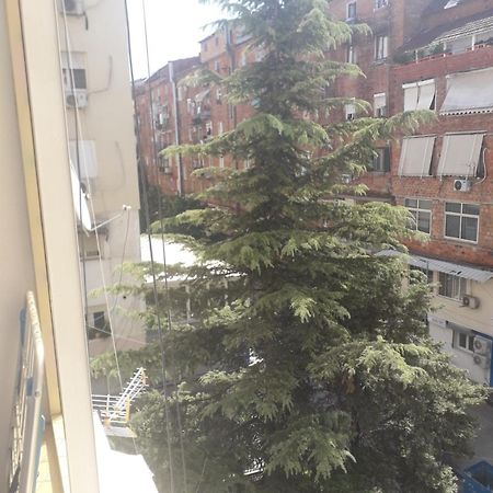 Jolie Center Apartment Τίρανα Εξωτερικό φωτογραφία